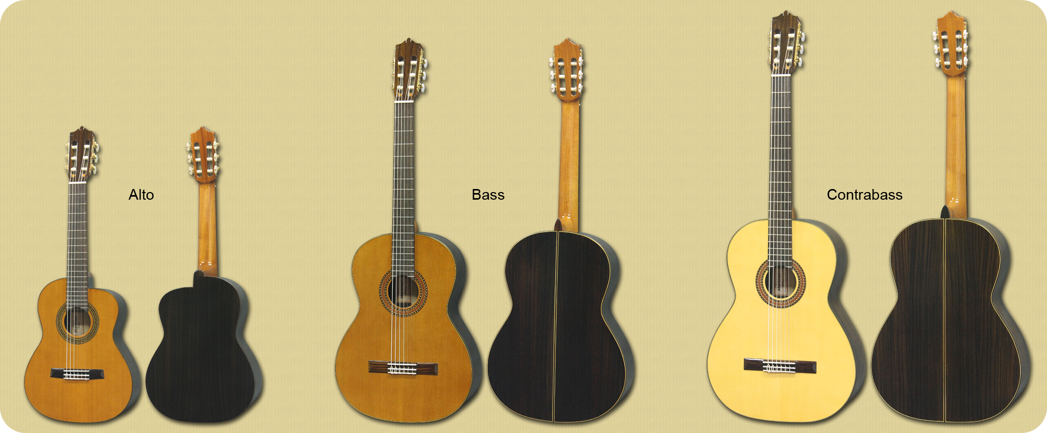 Alto Guitar, Bass Guitar, Contrabass Guitar