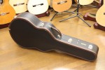 SantaCruz_case